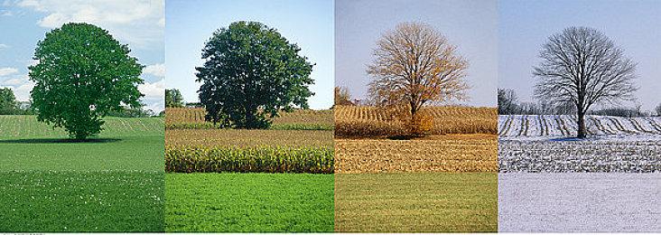 话题游戏《按摩狂》更名《beat refle》率先登陆Steam