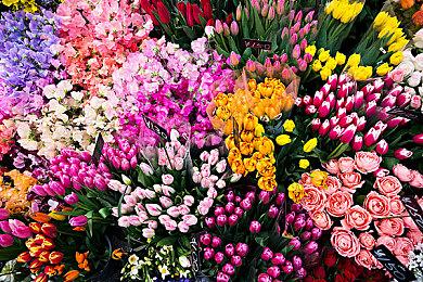 育碧《英灵乱战》再次联动美漫《行尸走肉》 尼根和玛姬上线